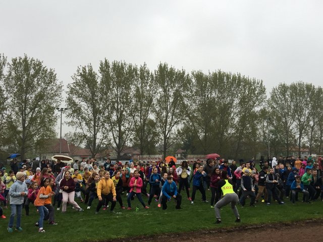 Nárcisz futás 2017 17